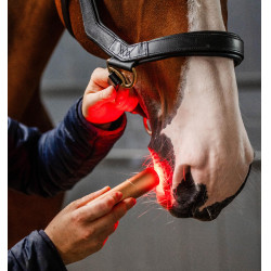 LED-lichttherapie stylus voor paardensport | Equi-Clic