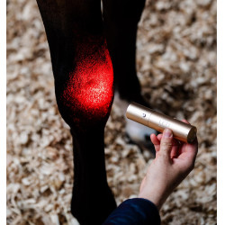 LED-lichttherapie stylus voor paardensport | Equi-Clic