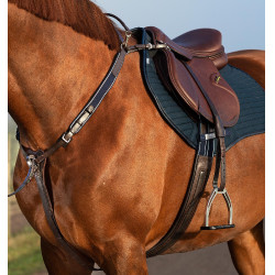 Horseware Micklem borsttuig met martingaal Bruin
