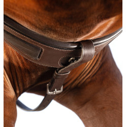 Horseware Micklem borsttuig met martingaal Bruin