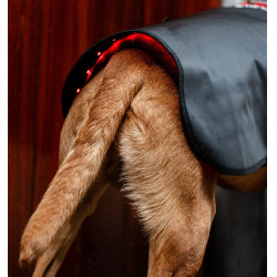 Therapie hondenjas met rood LED-licht | Paardensport Therapie hondenjas met rood LED-licht | Paardensport