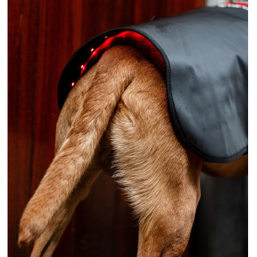 Therapie hondenjas met rood LED-licht | Paardensport Therapie hondenjas met rood LED-licht | Paardensport