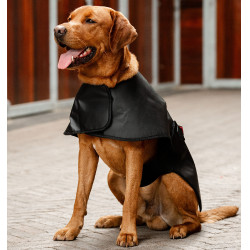 Therapie hondenjas met rood LED-licht | Paardensport Therapie hondenjas met rood LED-licht | Paardensport