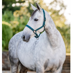 Halster en longeerlijn Horseware Groen dynastie