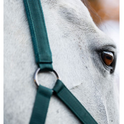 Halster en longeerlijn Horseware Groen dynastie