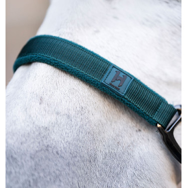 Halster en longeerlijn Horseware Groen dynastie