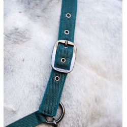 Halster en longeerlijn Horseware Groen dynastie