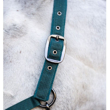 Halster en longeerlijn Horseware Groen dynastie