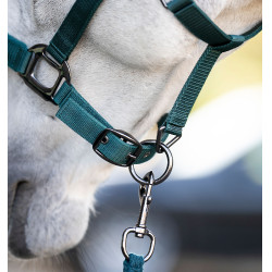 Halster en longeerlijn Horseware Groen dynastie