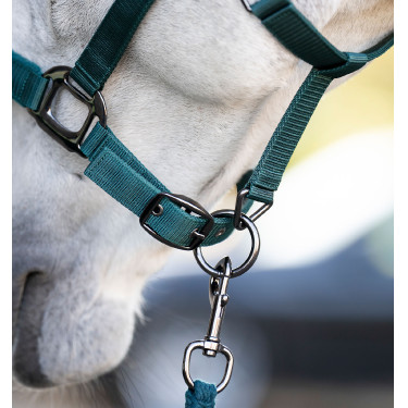 Halster en longeerlijn Horseware Groen dynastie