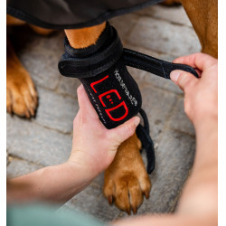 LED roodlicht therapie-pootbandage voor honden – paarden- en ruitersport bij Eqi-clic