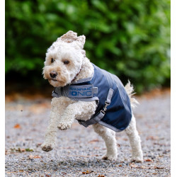 Therapeutische deken voor honden Horseware Ionic 50g Keizerlijk blauw / zilver en marine