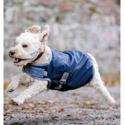 Therapeutische deken voor honden Horseware Ionic 50g Keizerlijk blauw / zilver en marine