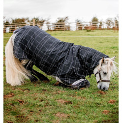 Pony regendeken set 0g + 200g liner – Horseware Rhino
