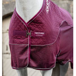 Horseware Signature zweetdeken voor transport Bordeaux Horseware Signature zweetdeken voor transport Bordeaux