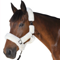 Transporthalster Canter Zwart Transporthalster Canter Zwart