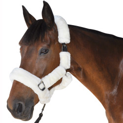 Transporthalster Canter Natuurlijk Bruin