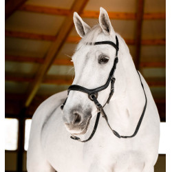 Bitloze hoofdstel Horseware Micklem Zwart
