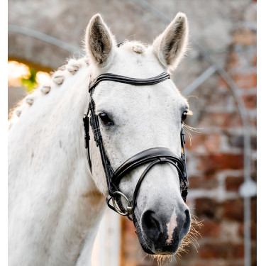 Pony hoofdstel voor dressuur – Horseware Flash | Equi-Clic Pony hoofdstel voor dressuur – Horseware Flash | Equi-Clic