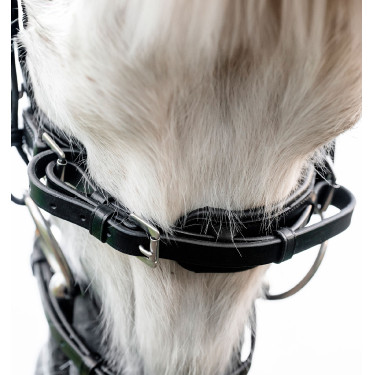 Pony hoofdstel voor dressuur – Horseware Flash | Equi-Clic Pony hoofdstel voor dressuur – Horseware Flash | Equi-Clic