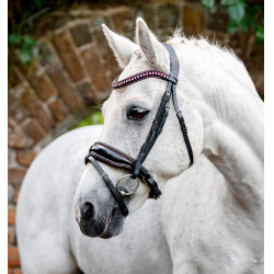 Ponyhoofdstel Horseware Diamante Flash Zwart / roze