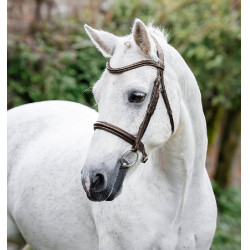 Ponyhoofdstel Horseware Cavesson Bruin Ponyhoofdstel Horseware Cavesson Bruin