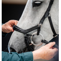 Hoofdstel Horseware Micklem Deluxe Competition Zwart