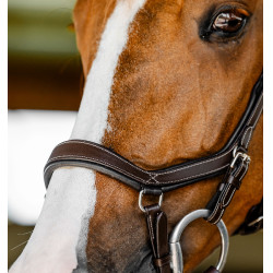 Micklem Competition hoofdstel – anatomisch, FEI, paardrijden | Eqi-clic