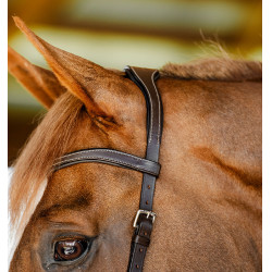 Micklem Competition hoofdstel – anatomisch, FEI, paardrijden | Eqi-clic