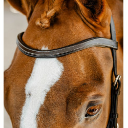 Micklem Competition hoofdstel – anatomisch, FEI, paardrijden | Eqi-clic