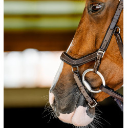 Micklem Competition hoofdstel – anatomisch, FEI, paardrijden | Eqi-clic