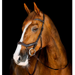 Micklem Competition hoofdstel – anatomisch, FEI, paardrijden | Eqi-clic