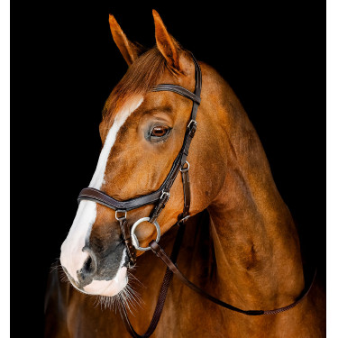 Micklem Competition hoofdstel – anatomisch, FEI, paardrijden | Eqi-clic