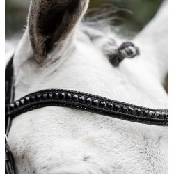 Hoofdstel Horseware Diamante Flash Zwart / zwart