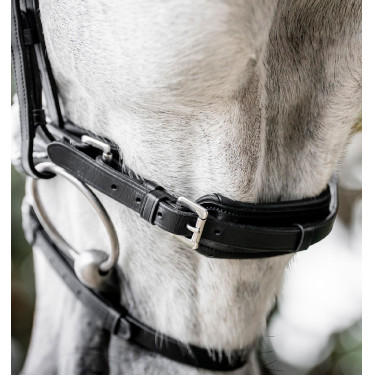 Hoofdstel Horseware Diamante Flash Zwart / zilver