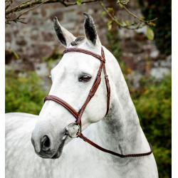 Hoofdstel voor paard Horseware Cavesson met teugels