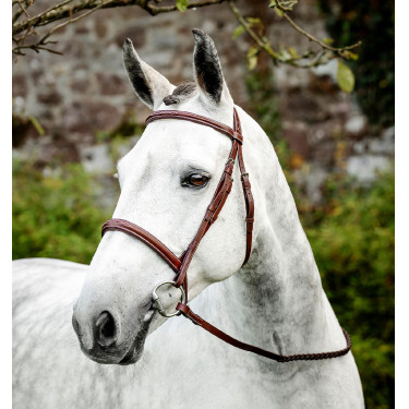 Hoofdstel voor paard Horseware Cavesson met teugels