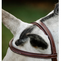 Hoofdstel voor paard Horseware Cavesson met teugels