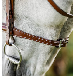 Hoofdstel voor paard Horseware Cavesson met teugels