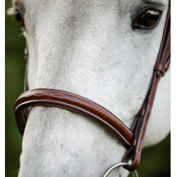 Hoofdstel voor paard Horseware Cavesson met teugels