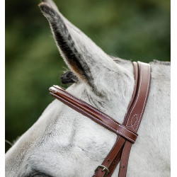 Hoofdstel voor paard Horseware Cavesson met teugels