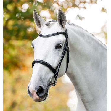 Hoofdstel Horseware Cavesson Zwart Hoofdstel Horseware Cavesson Zwart