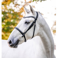 Hoofdstel Horseware Cavesson Zwart Hoofdstel Horseware Cavesson Zwart