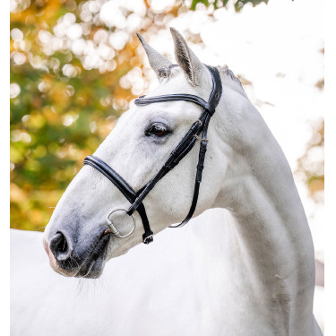 Hoofdstel Horseware Cavesson Zwart Hoofdstel Horseware Cavesson Zwart
