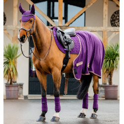 Zadelpad Close Contact Amigo Horseware Winterberry Violet