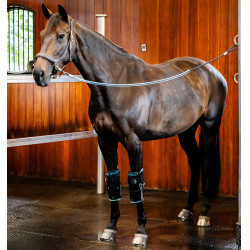 Ice-Vibe kniebeschermers paard – massage en koude/warme therapie