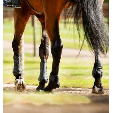 Horseware® Classic kogelbeschermers Zwart / zwart