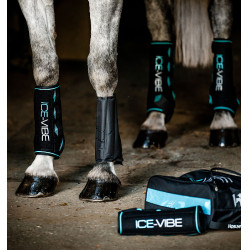 Horseware Ice-Vibe peesbeschermers Zwart / aqua Blauw