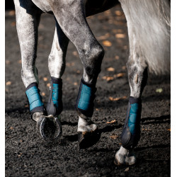 Horseware® Classic dressuurbeschermers Groen dynastie Horseware® Classic dressuurbeschermers Groen dynastie