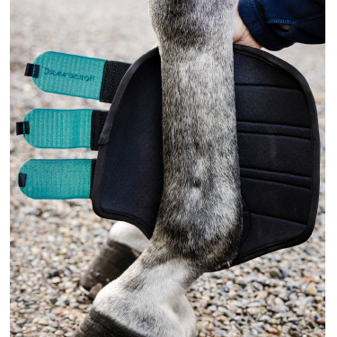 Horseware® Classic dressuurbeschermers Groen dynastie Horseware® Classic dressuurbeschermers Groen dynastie